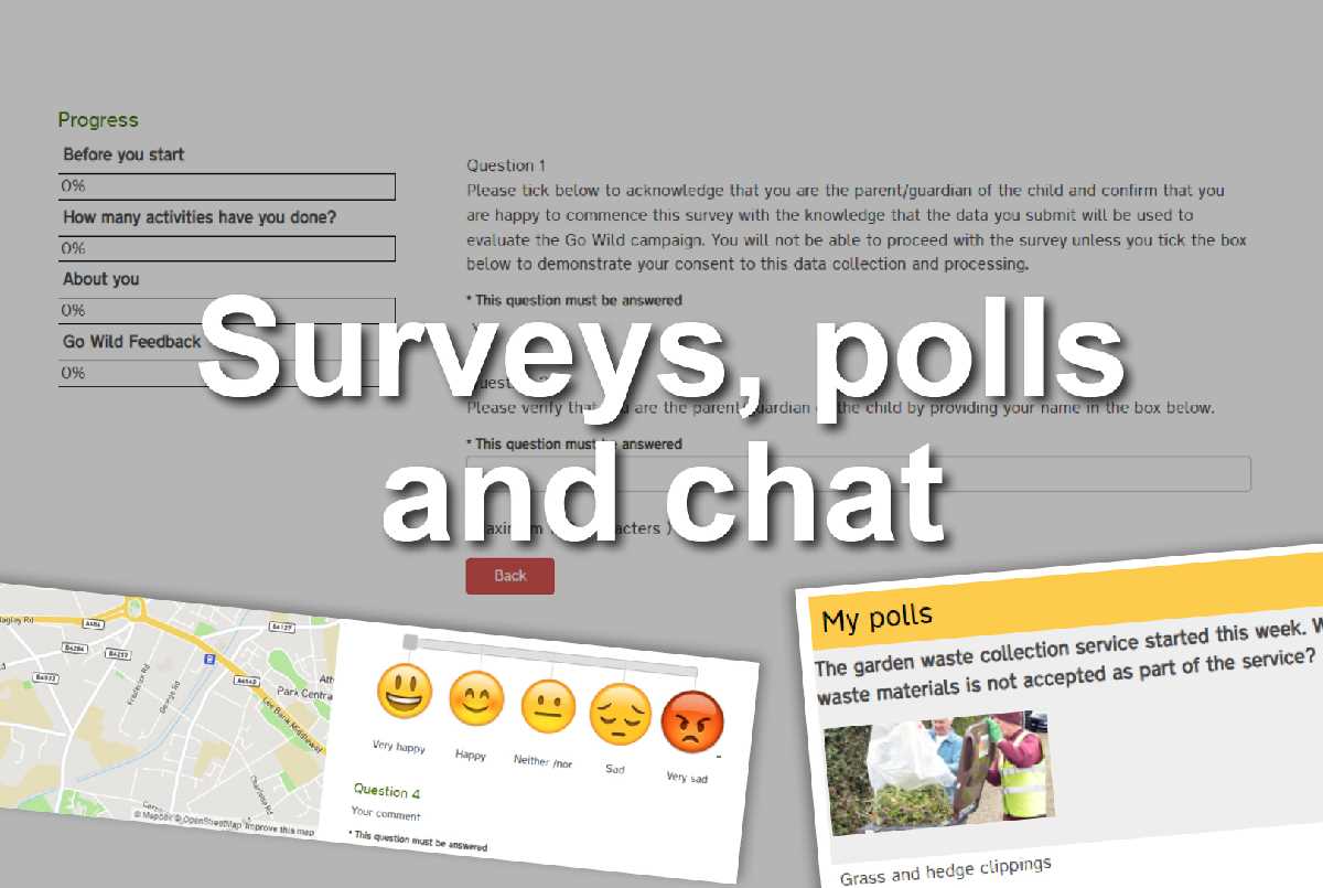 Surveys polls chats.jpg