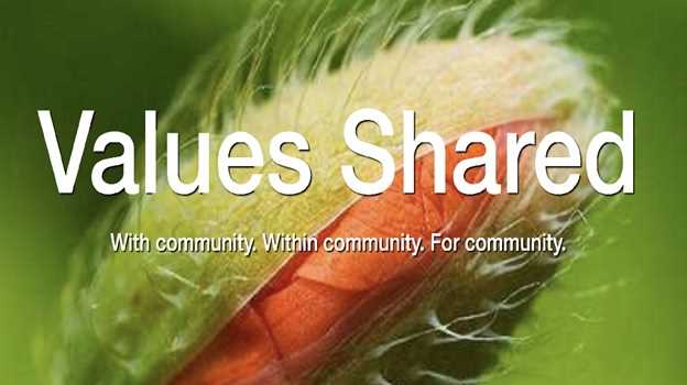 Introducing Values Shared and its role in growing the Social Economy
